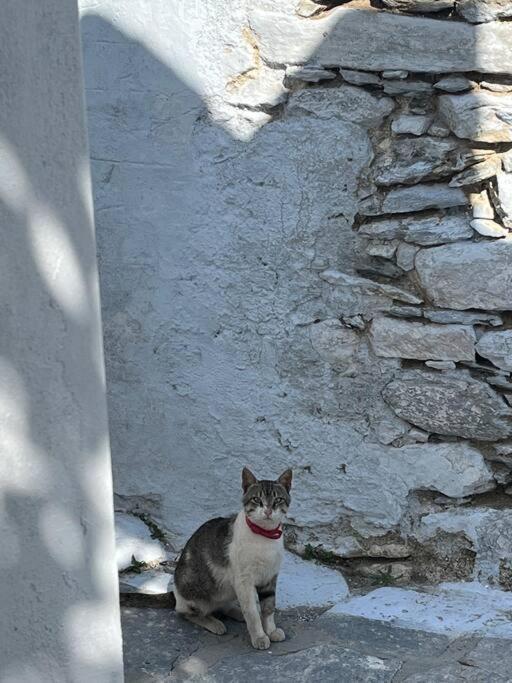 Dream House Little Villa - Amorgos Exterior photo