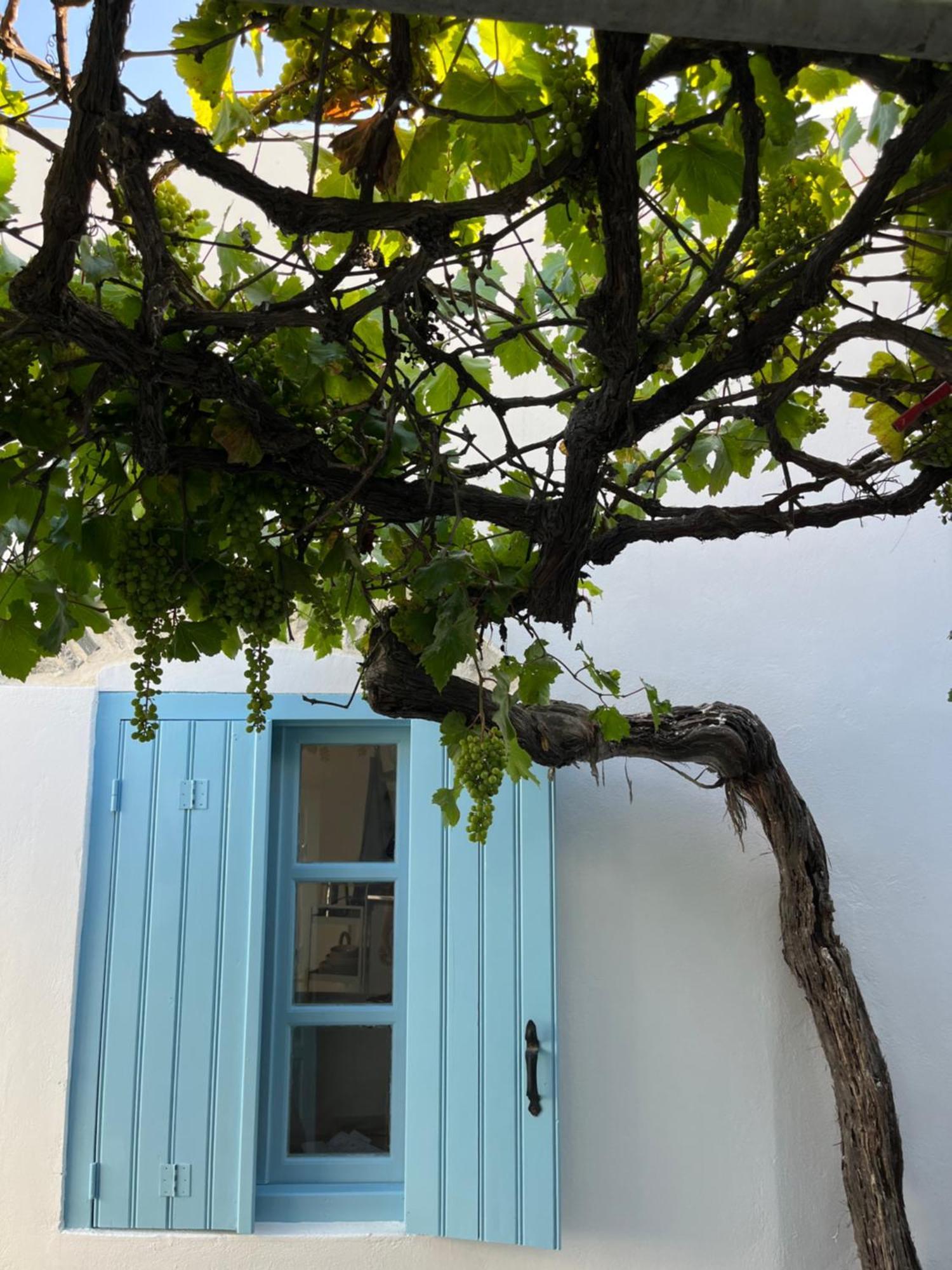 Dream House Little Villa - Amorgos Exterior photo